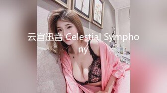 云宫迅音 Celestial Symphony