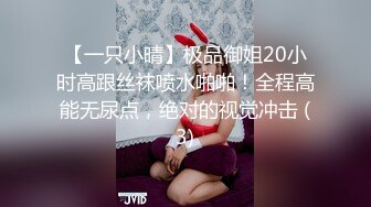 【一只小晴】极品御姐20小时高跟丝袜喷水啪啪！全程高能无尿点，绝对的视觉冲击 (3)