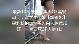 最新10月硬核媚黑！OF黑奴母狗，留学生伪娘【魏珍妮】福利私拍②，黑人白人越猛越好，一菊双屌3P肉搏 (1)