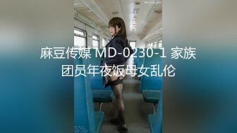 麻豆传媒 MD-0230-1 家族团员年夜饭母女乱伦