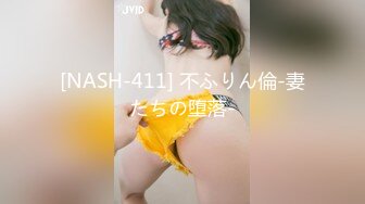 [NASH-411] 不ふりん倫-妻たちの堕落-