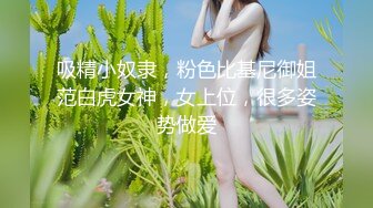 吸精小奴隶，粉色比基尼御姐范白虎女神，女上位，很多姿势做爱