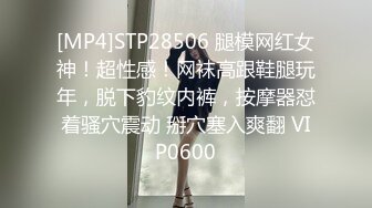 [MP4]STP28506 腿模网红女神！超性感！网袜高跟鞋腿玩年，脱下豹纹内裤，按摩器怼着骚穴震动 掰穴塞入爽翻 VIP0600