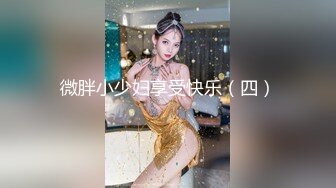 微胖小少妇享受快乐（四）