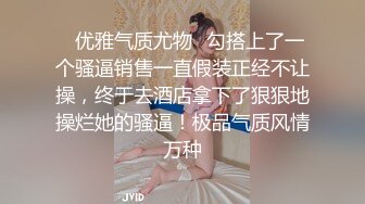 ✿优雅气质尤物✿勾搭上了一个骚逼销售一直假装正经不让操，终于去酒店拿下了狠狠地操烂她的骚逼！极品气质风情万种