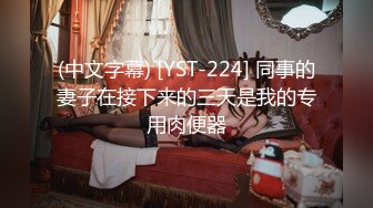 (中文字幕) [YST-224] 同事的妻子在接下来的三天是我的专用肉便器