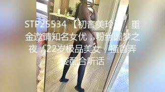 STP25534 【初音美玲】，重金邀请知名女优，粉丝圆梦之夜，22岁极品美女，搔首弄姿配合听话