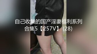 自己收集的国产淫妻福利系列合集5【257V】 (28)