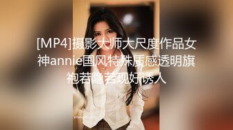 [MP4]摄影大师大尺度作品女神annie国风特殊质感透明旗袍若隐若现好诱人