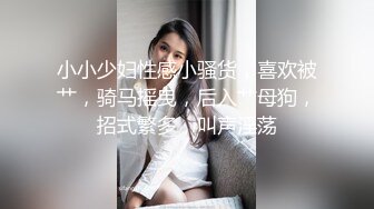 小小少妇性感小骚货，喜欢被艹，骑马摇曳，后入艹母狗，招式繁多，叫声淫荡