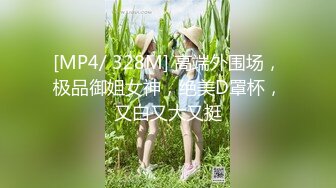 [MP4/ 328M] 高端外围场，极品御姐女神，绝美D罩杯，又白又大又挺