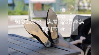 いちゃラブ宅饮み浓厚べろちゅう密着せっくちゅ 田中なな実が彼女になった日