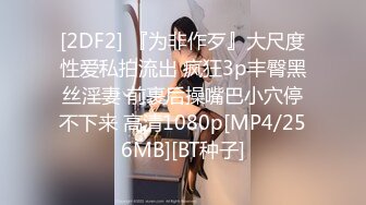 [2DF2] 『为非作歹』大尺度性爱私拍流出 疯狂3p丰臀黑丝淫妻 前裹后操嘴巴小穴停不下来 高清1080p[MP4/256MB][BT种子]