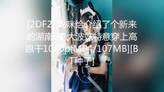 [2DF2] 妈咪给介绍了个新来的湖南e奶大波妹特意穿上高跟干1080p[MP4/107MB][BT种子]